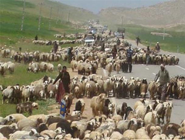 کوچ بهاری بیش از سه هزار خانوار عشایری در خداآفرین آغاز شد