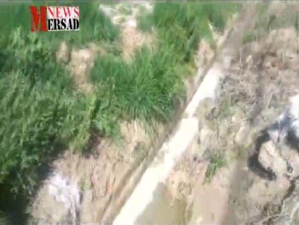 وضعیت دردناک تولیدی های کرمانشاه در دولت روحانی/ ویدیوی ارسالی یک کاربر از ریختن ۲ هزار لیتر شیر در جوی فاضلاب