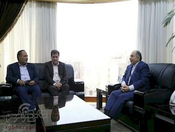 پتروشیمی دهدشت در مسیر پیشرفت/ظرفیت تولید سالانه 300 هزار تن پلی‌اتیلن سنگین در پتروشیمی دهدشت