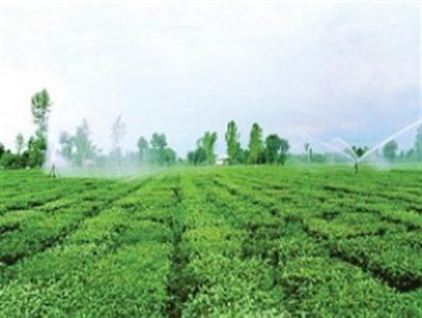 طرح‌های صنعتی و کشاورزی منطقه نیازمند پیگیری مستمر است