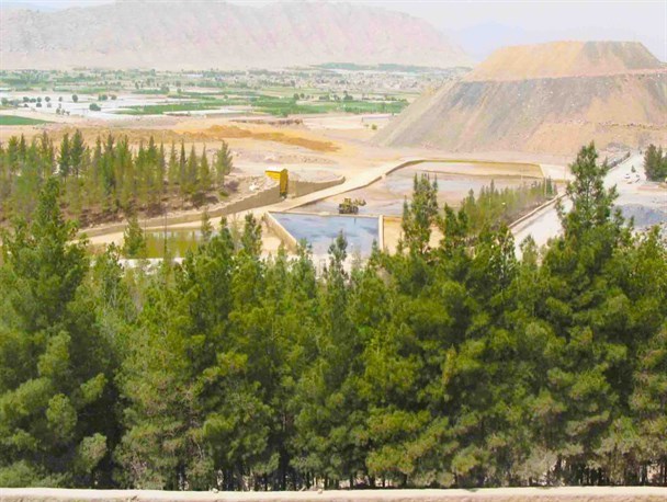 درخت بکاریم/شهرستان رزن را به منطقه ی نمونه ی محیط زیست تبدیل کنیم