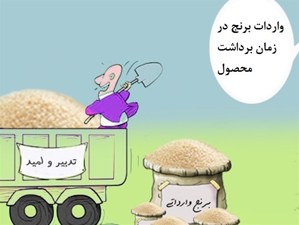 واردات در این فصل آسیب زیادی به کشاورزان می‌زند/ راهکار جایگزین در سم‌پاشی برنج