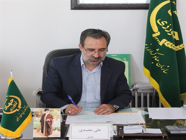 سمپاشی ۲۳ هزار هکتار از مزارع ابهر علیه آفت سن گندم/ نرخ تضمینی گندم ۱۲۷۰ تومان می باشد