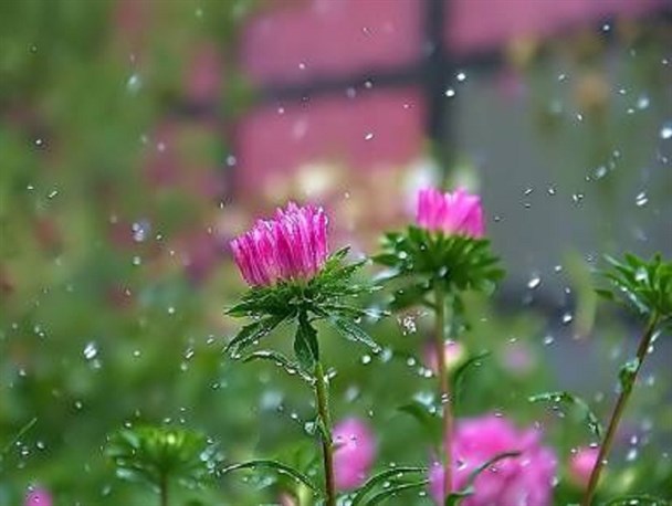 نزول رحمت الهی در ماه رحمت/ فردا؛ احتمال وزش بادهای شدید و مخرب