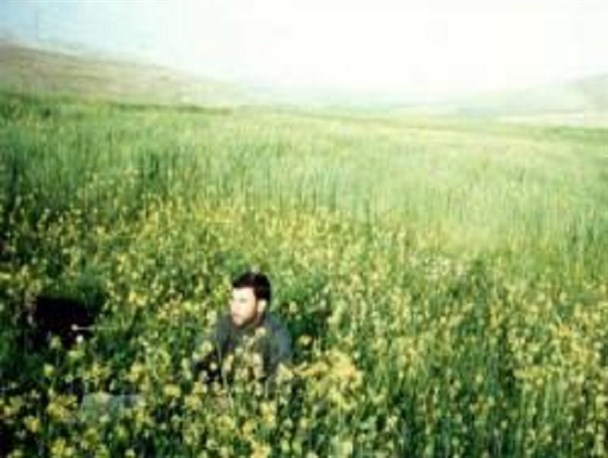 شهید مهدی محمدی ؛شهیدی که تنها آرزویش شهادت بود