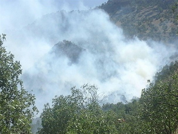 چهار هکتار از اراضی جنگلی شهرستان لردگان دچار حریق شد