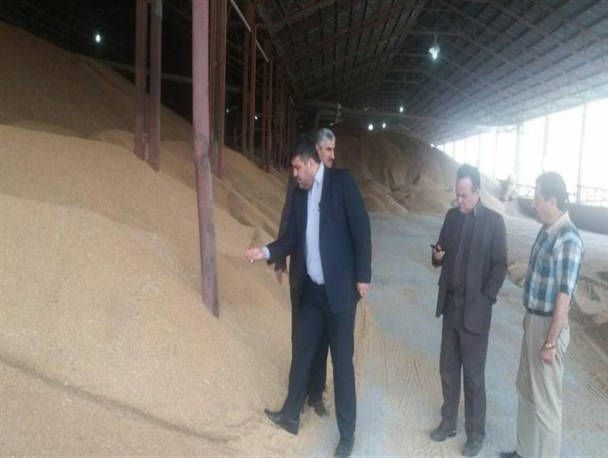 خریداری بیش از 54 هزار تن گندم از کشاورزان شهرستان رامیان+ تصاویر