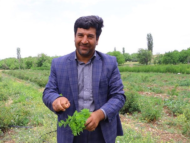 روستایی که می خواهد دهکده گل شمال شرق کشور شود/چترهای حمایتی اگر باز شوند سبد تولیدات گل خداقلی نیز رنگارنگ تر می شود