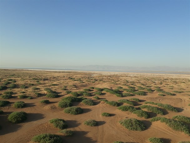 گزارش تصویری/ کویر میقان