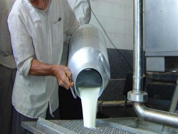 اصفهان به اندازه 14 استان کشور شیر تولید می‌کند/ وضعیت سلامت شیرهای فله‌ای در بازار چگونه است؟