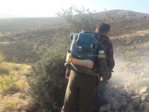 مهار آتش سوزی در منطقه کاکان بویراحمد/متخلفان به دستگاه قضا معرفی شدند+تصاویر