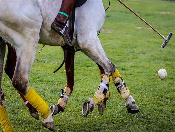 چوگان بانوان جام آینده سازان| تیم زنده رود قهرمان شد
