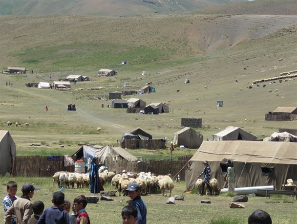 بیماران روستاهای محروم پلدشت ویزیت رایگان شدند + تصاویر