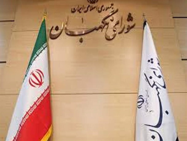 اقبال عمومی برای ورود شورای نگهبان به انتخابات شورای شهر و روستاها
