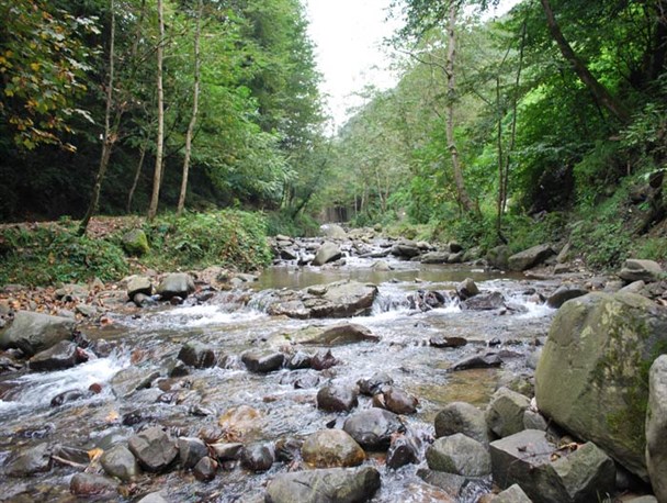 انتقال آب به تهران در گرو حفظ اکوسیستم و حق‌آبه رودخانه کرج است/ وزارت نیرو ساخت تصفیه‌خانه فاضلاب ۵۸ روستای چالوس را پشت گوش انداخت!