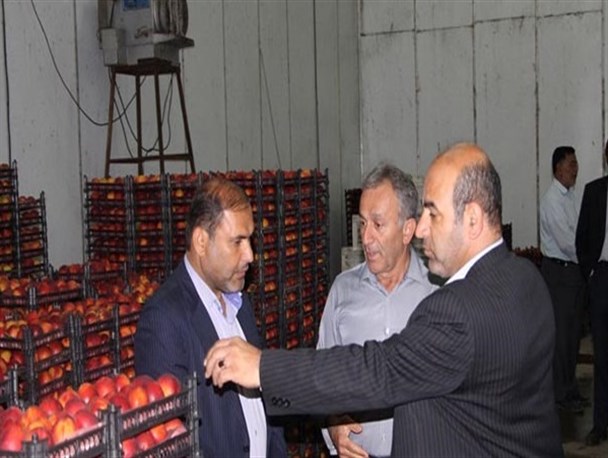بازدید فرماندار گلوگاه از وضعیت ذخیره میوه در سردخانه‌ها