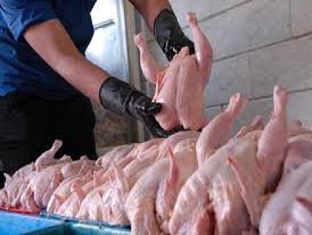 الاکلنگ قیمت مرغ در بازار باغملک نسبت به شهرهای همجوار +عکس
