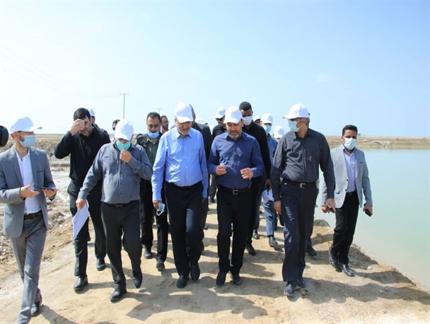 دولت تمام قد در کنار سرمایه‌گذاران ایستاده است