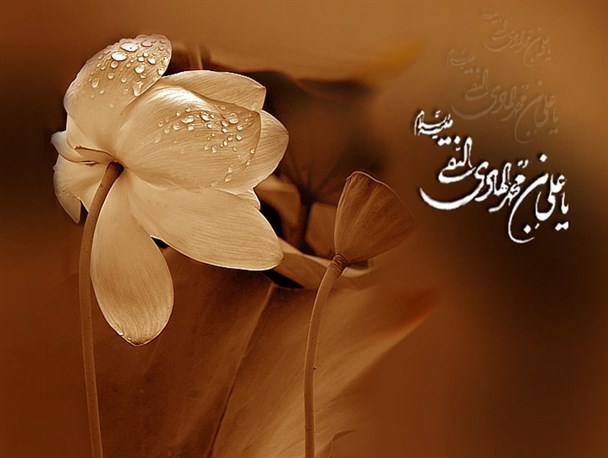 هدیه‌ی امام هادی به شیعیان؛ دوره امام شناسی ژرف و عمیق در زیارت جامعه کبیره