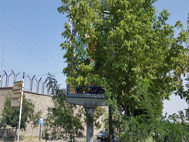 شهدا شرمنده‌ایم