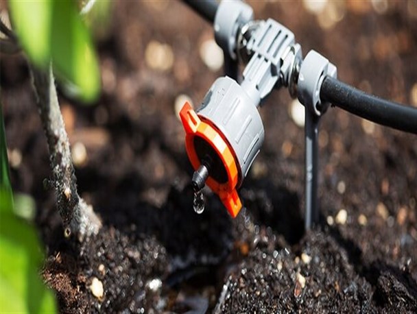 آبیاری نوین اراضی کشاورزی مهم‌ترین راهکار مقابله با خشکسالی است/ ۲ برابر شدن سطح زیر کشت با سیستم آبیاری نوین