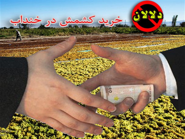 کشاورزان خندابی قربانی بی تدبیری مسئولین/ دلالان کشمش در خنداب حکم فرمایی می کنند