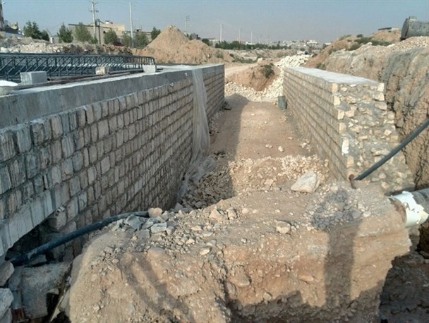 شاخ ماری که در پل مجاهد برازجان شکسته اس