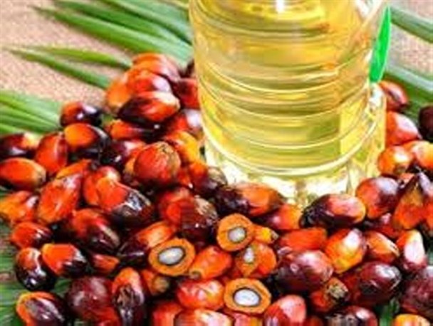 خادمی:چرا مسئولان واقعیت های روغن پالم را پنهان می کنند؟/ سلیمی: متاسفانه در ورود مواد غذایی به کشور هم سیاسی کاری می شود
