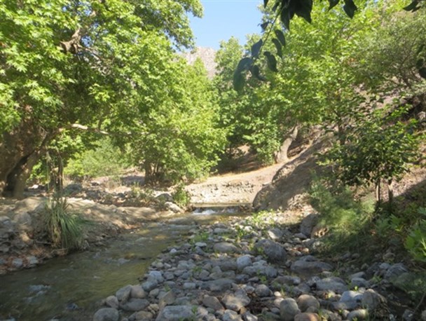 طبیعت زیبای پاییزی شهرستان طارم+تصاویر