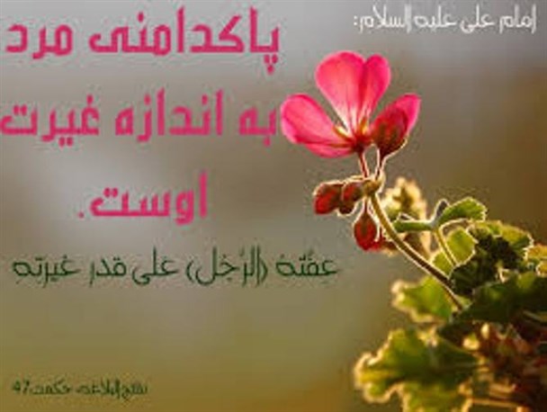 غیرت عامل حفظ امنیت روانی جامعه