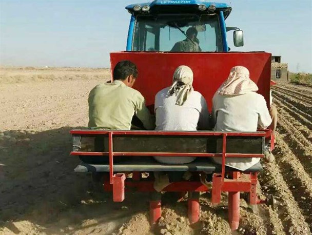 ساخت دستگاه کاشت پیاز زعفران توسط کشاورز سرایانی
