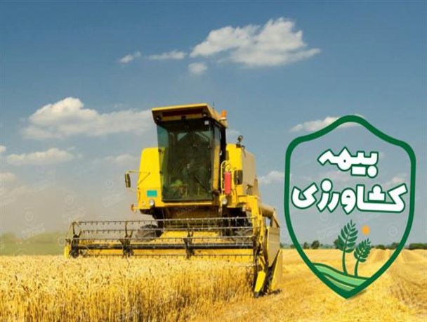 ۲۰۰ هزار هکتار زراعت در استان مرکزی تحت پوشش بیمه قرار می گیرد/ پرداخت ۱۰۰ میلیارد تومان خسارت کشاورزان استان تا پایان هفته