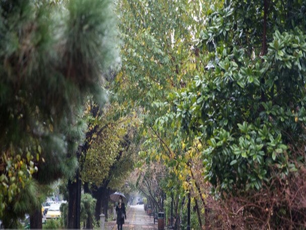 بارش پراکنده باران در استانهای شمالی/ خیزش گردوخاک در شرق کشور