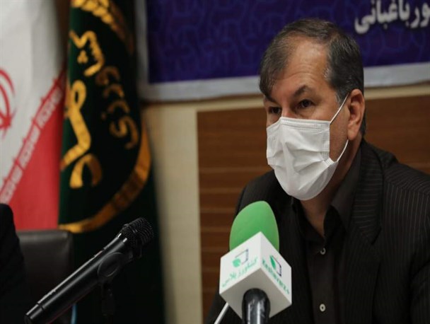 مصوبه ۶ هزار و ۳۷۵ میلیاردی برای توسعه باغبانی در کشور