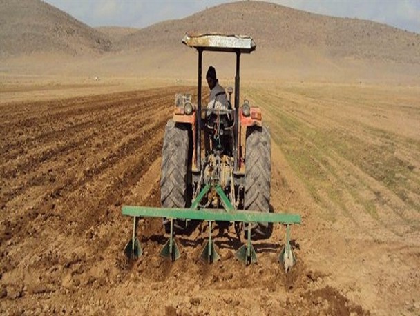 تامین بذر و کود یارانه‌ای؛ ۲۳۷ هزار هکتار گندم پاییزه در لرستان کشت می‌شود
