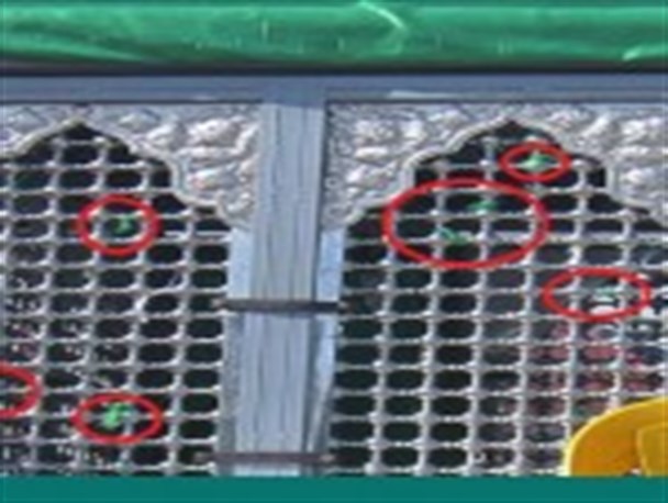 دخیل بندی خرافه است