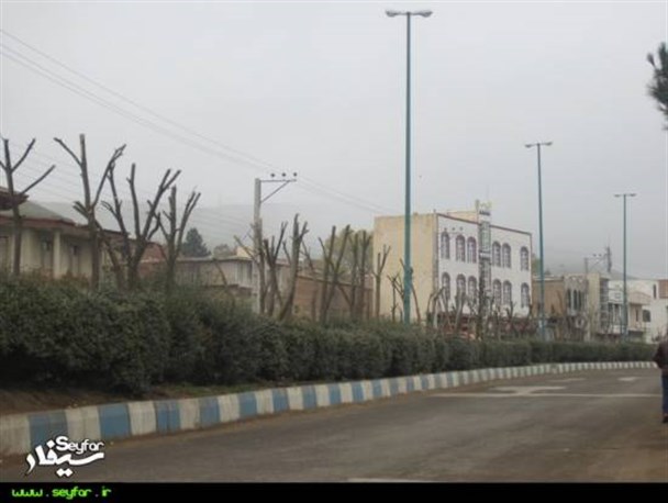 درختان حریم شهرداری گرمی هرس شدند