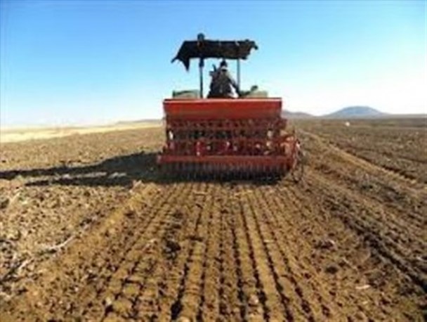 آغاز کاشت گندم و جو در مزارع سروستان