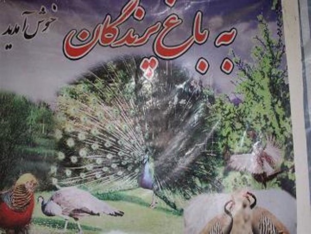 مرکز تفرحی گردشی باغ پرندگان در شاهین دژ