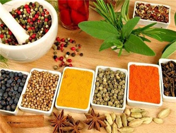 توصیه های کارشناس طب سنتی برای مقابله با آلودگی هوا