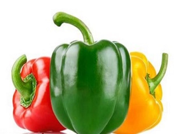 آقای رئیس جمهور؛ من یک فلفل دلمه ای هستم!/ طنز