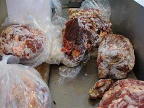 ضبط و معدوم‌سازی 250 کیلو سنگدان در ملایر