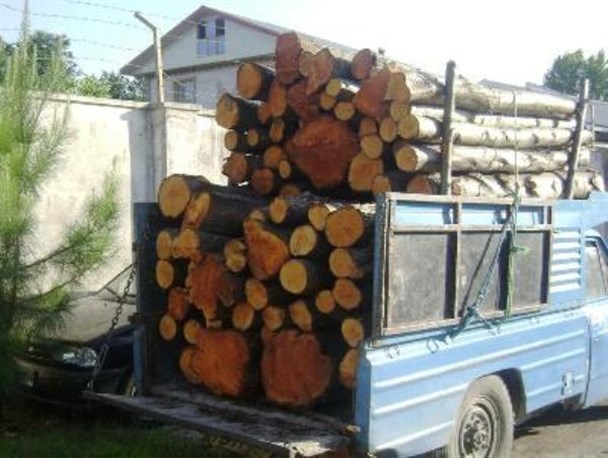 بیش از 4 تن چوب قاچاق در خمام کشف شد
