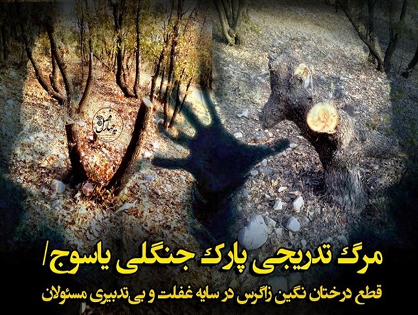 مرگ تدریجی پارک جنگلی یاسوج/نمایشگاه کتاب کهگیلویه و بویراحمد/ سخنان استاندار