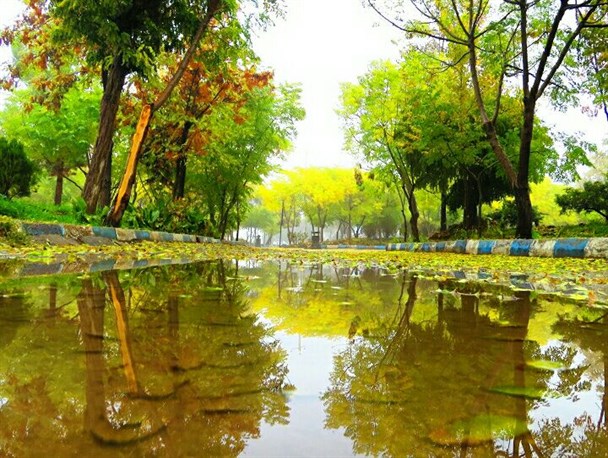 جلوه های زیبای پاییز در دلیجان+تصاویر