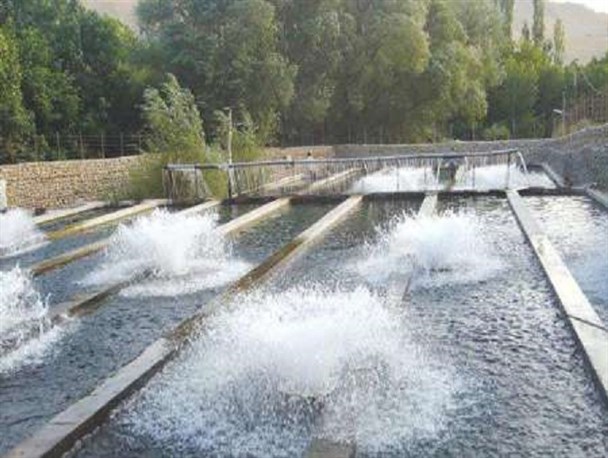 سیستم های مکانیزاسیون درمزارع پرورش ماهی اجرا می شود
