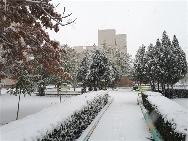 روسفیدی شهر در پاییز
