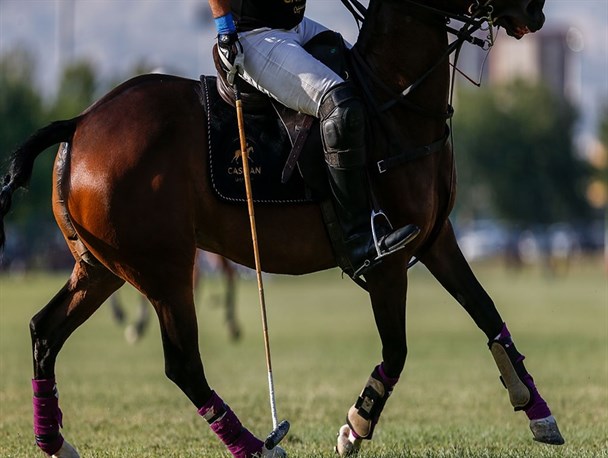 مجموعه چوگان شهدا پلمپ شد/ تصمیم عجیب در آستانه پنجمین سالگرد ثبت جهانی چوگان