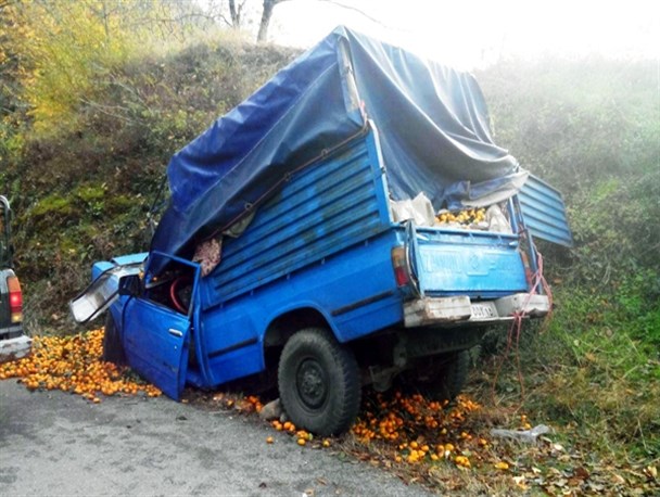 نیسان‌بار مرکبات از کمر شکست /تصاویر
