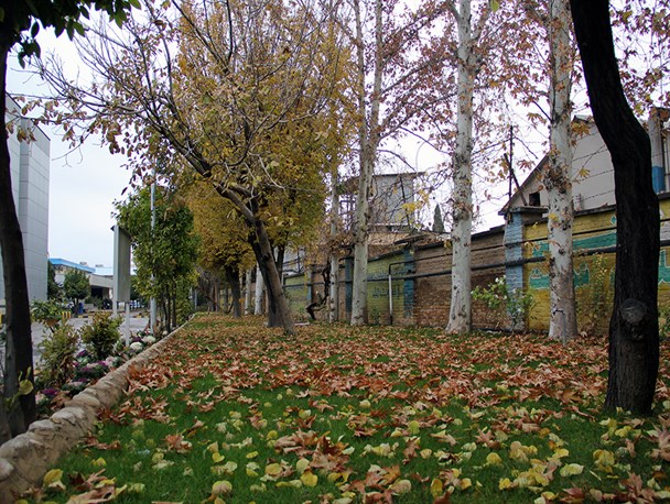 تصاویری از پاییز رنگی شیراز